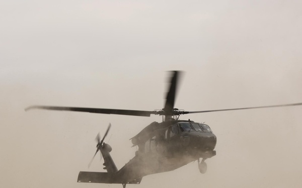 Dust Landing