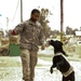 Combat stress control soldier, working dog inducted into Order of the Spur