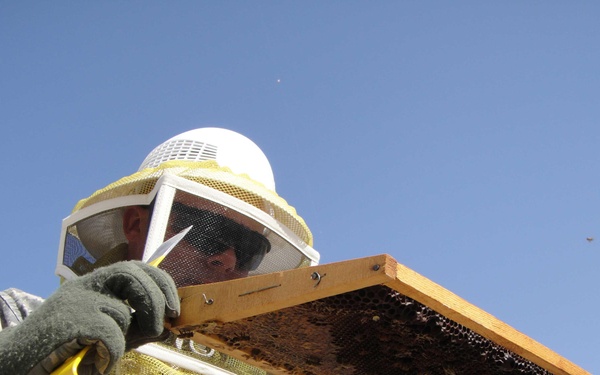 Texas ADT-IV Beekeeping Training