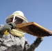 Texas ADT-IV Beekeeping Training
