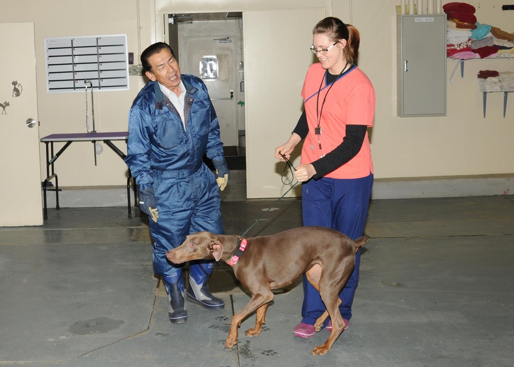 Misawa Kennel Ready to Receive Voluntary Departure Pets