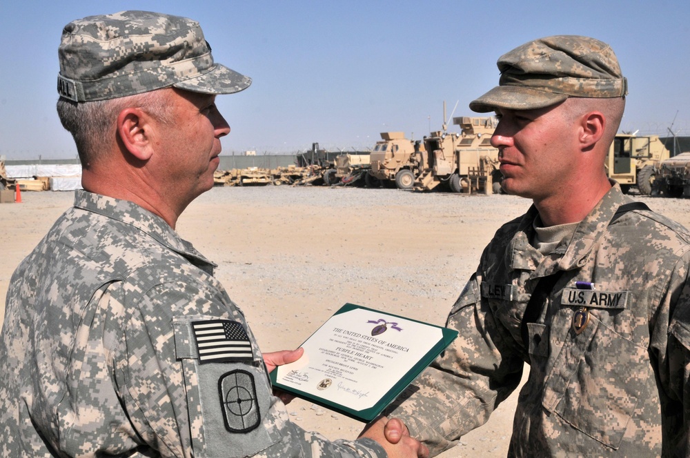 Purple Heart medals awarded to Task Force OVERLORD Soldiers