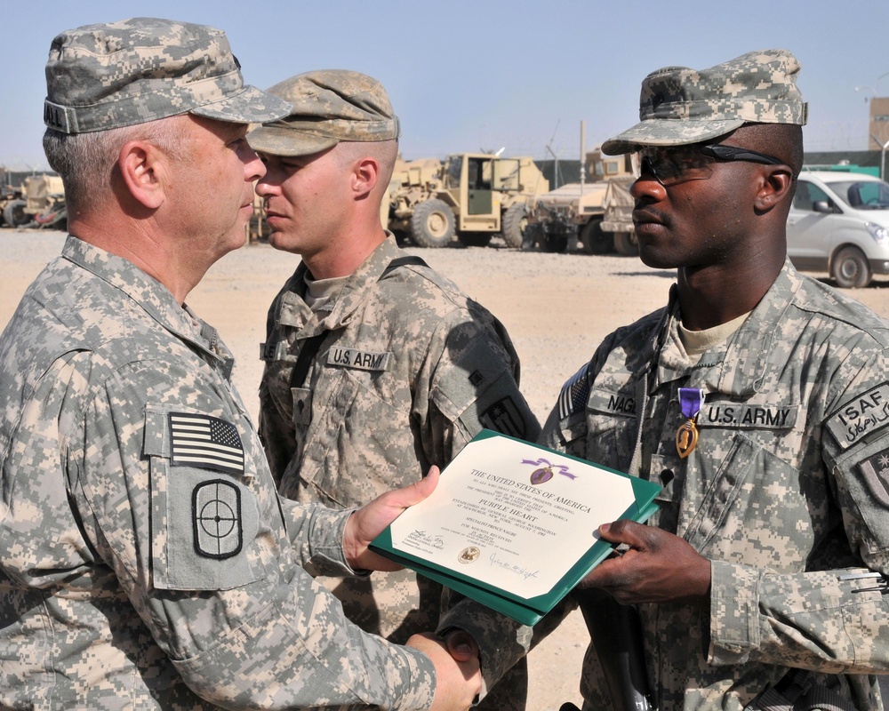 Purple Heart medals awarded to Task Force OVERLORD Soldiers