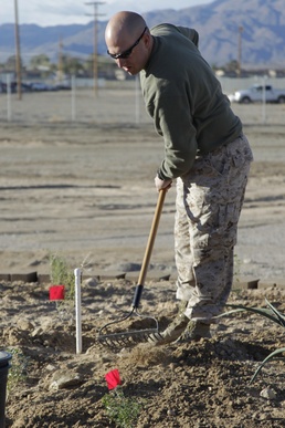 Garden brings ancient history to life