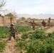 Operation Enduring Freedom- Patrol in the Green Zone