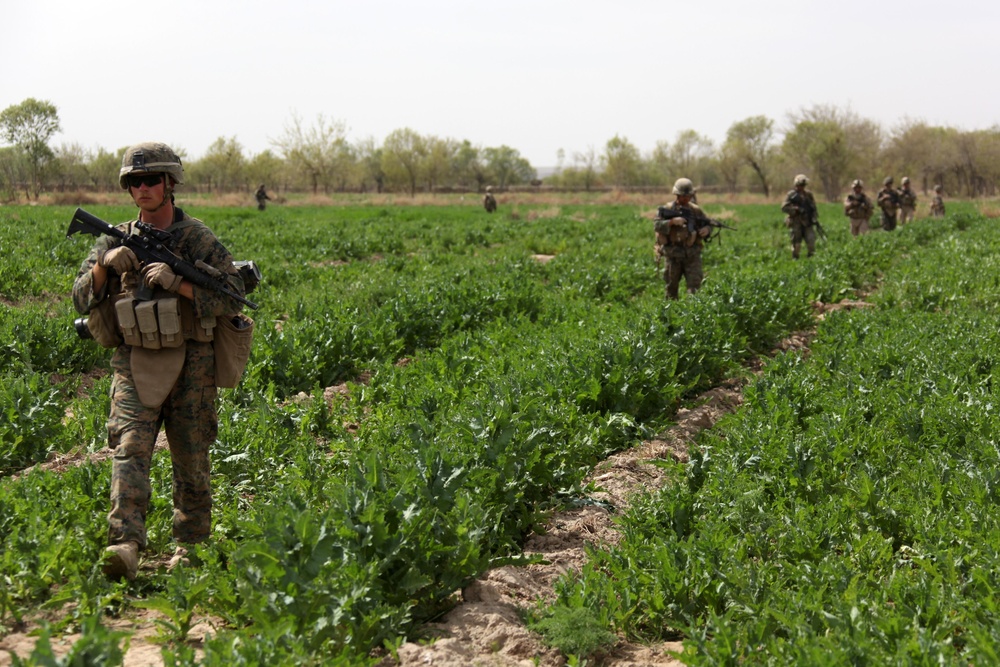 Operation Enduring Freedom- Patrol in the Green Zone