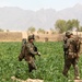 Operation Enduring Freedom- Patrol in the Green Zone