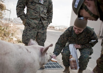 Rebuilding Sendai: a photographic journey