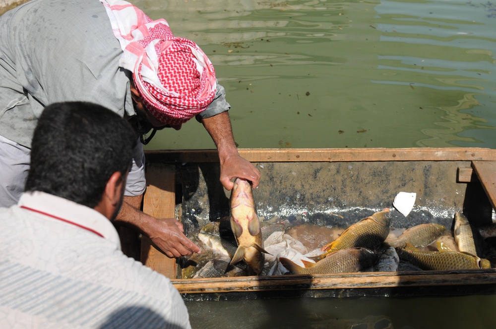 Marsh inhabitants needed to revitalize wetlands in southern Iraq