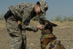 Dogs play vital role in search missions