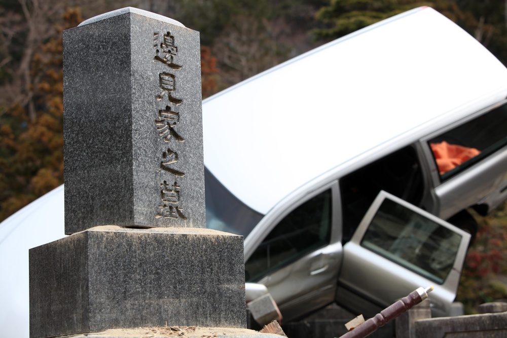 Road to recovery - restoring mainland