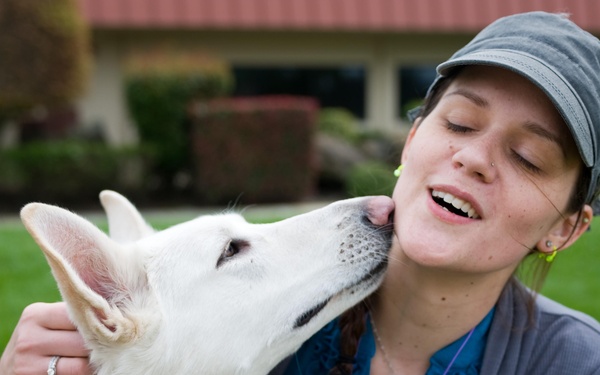 Volunteers aid pets during Operation Pacific Passage