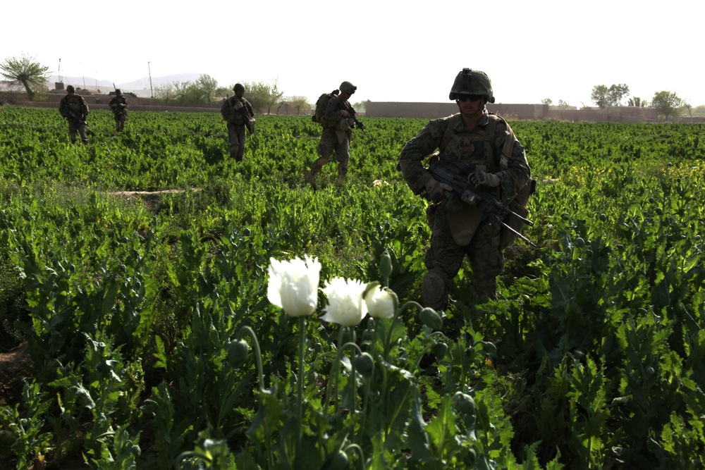 Operation Enduring Freedom: Marines operate near Combat Outpost Ouellette