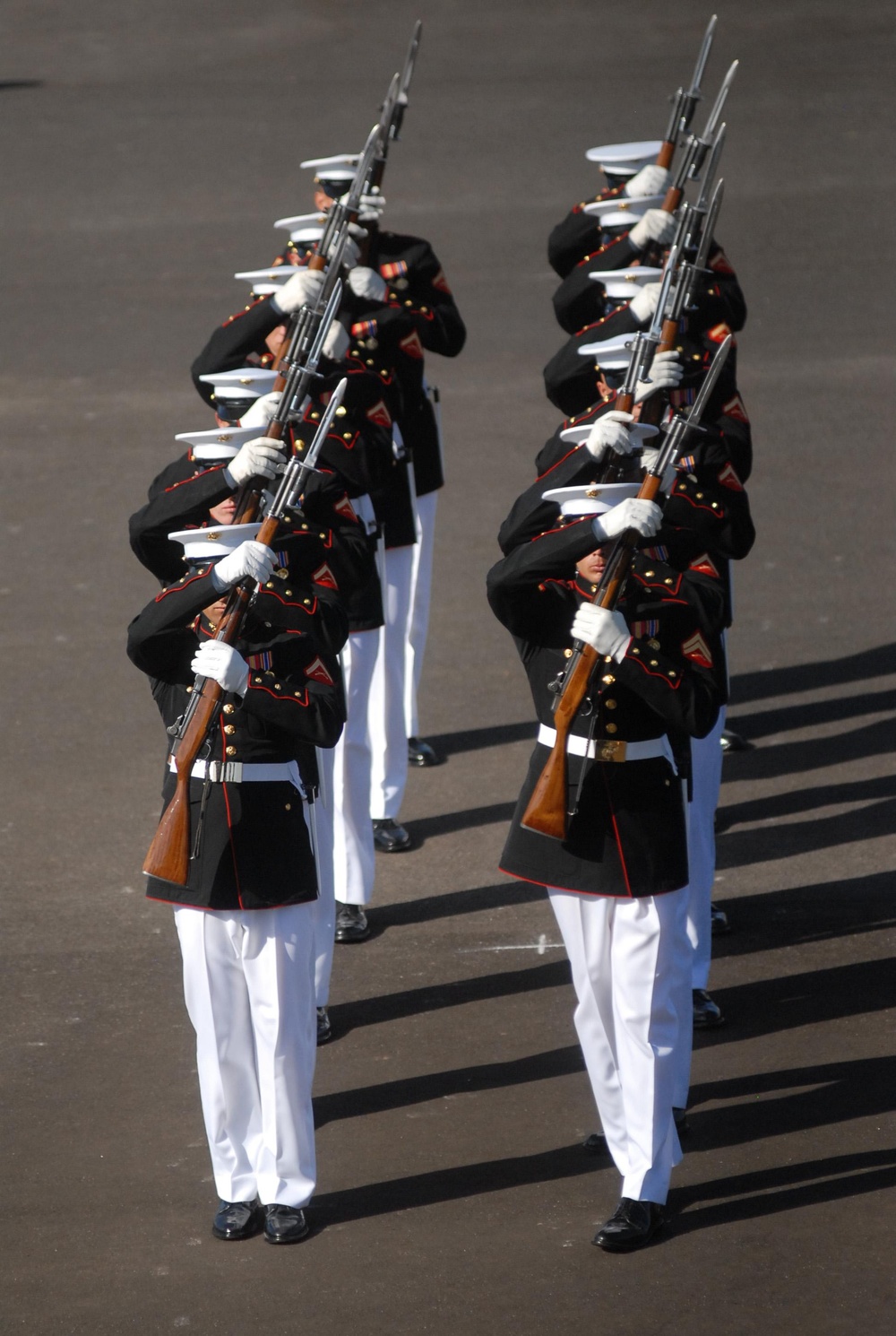 Ceremonial rifles soar for San Diego