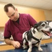 Vet clinic keeps tails wagging