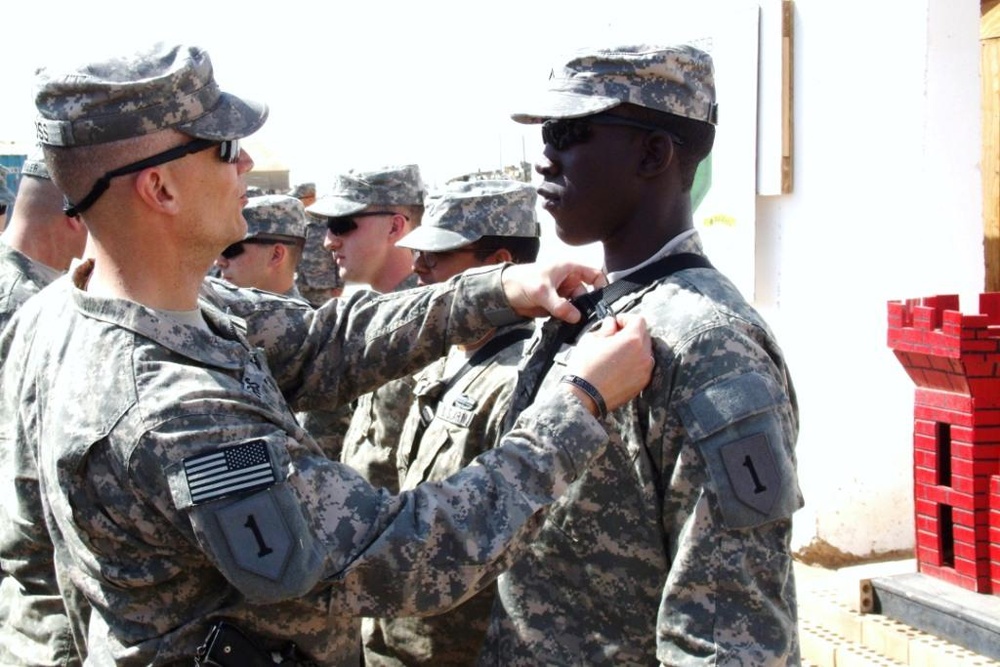 'Venom' Engineer Company Soldiers receive Combat Action Badges in Iraq