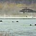 Best Sapper Competition 2011