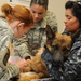 Vet Care at Guantanamo Bay Veterinary Treatment Facility