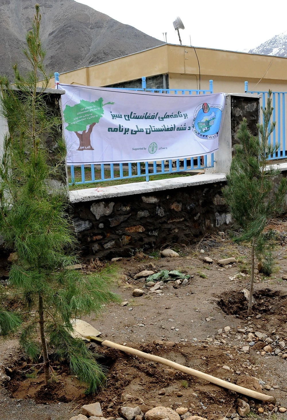 KY ADT donates 3,500 evergreens to Panjshir