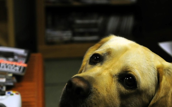 April brings awareness campaign for Occupational Therapy