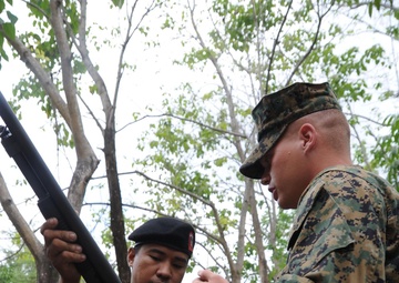 Joint Weapons Continuity