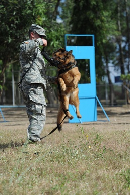 Joint Dog Training Crosses Borders