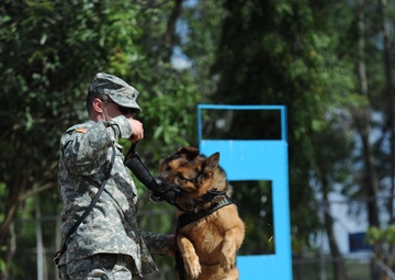 Joint Dog Training Crosses Borders