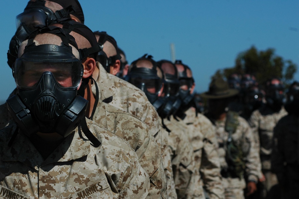 Company G recruits use new gas mask in confidence chamber