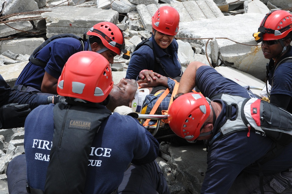 Fuerzas Aliadas Humanitarias 2011