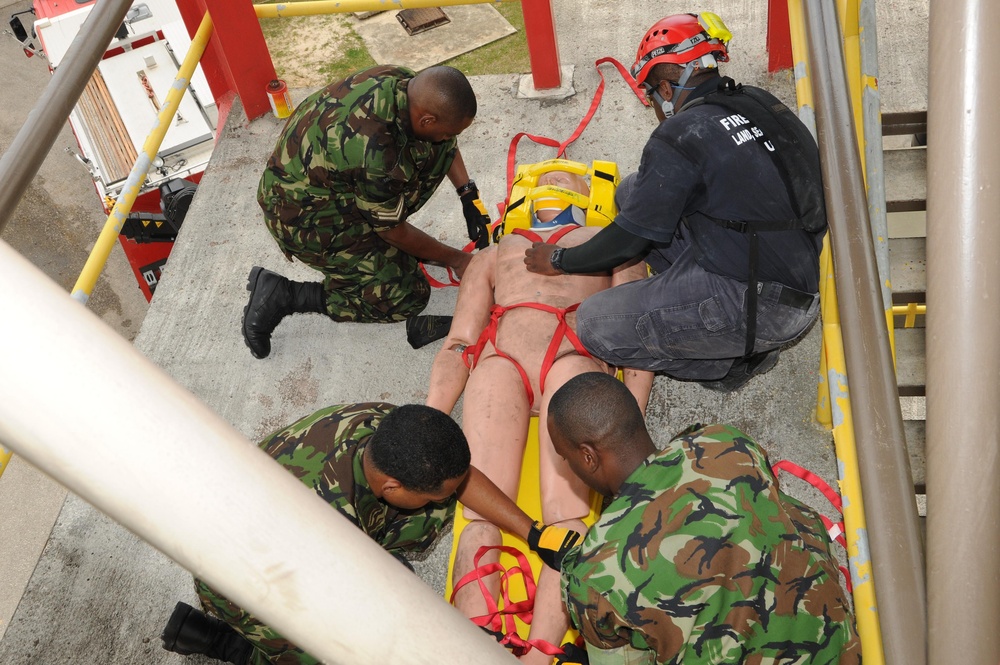 Fuerzas Aliadas Humanitarias 2011