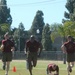 Marines get intense training at Semper Fit