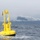 Wave Energy Buoy