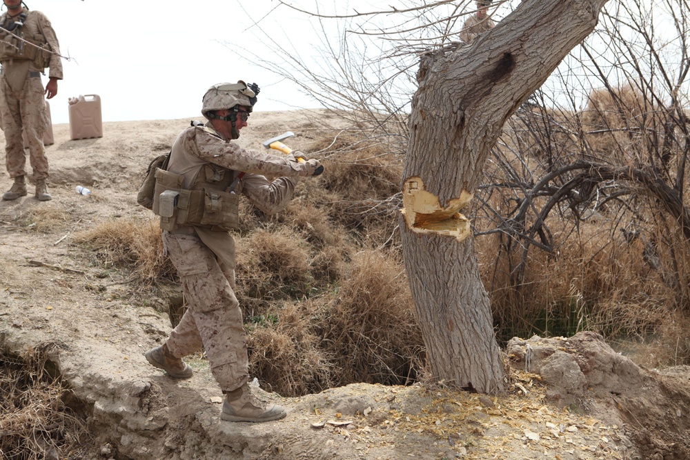 Operation Enduring Freedom- Combat Engineers