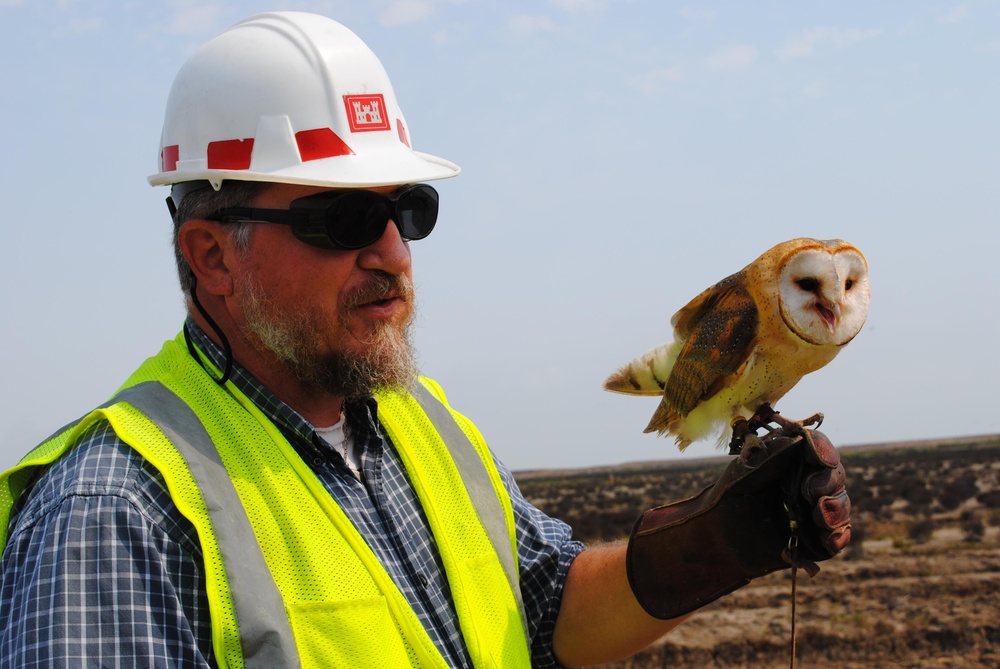 Bird Abatement Program Used to Temporarily Deter Nesting at USACE Construction Site