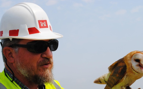 Bird Abatement Program Used to Temporarily Deter Nesting at USACE Construction Site