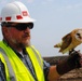 Bird Abatement Program Used to Temporarily Deter Nesting at USACE Construction Site