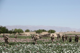 Artillery Marines hold back insurgents in key Afghan district