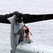 VMM-263 (REIN) 'Thunder Chickens' arrive aboard USS Bataan