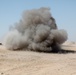 ANA Training Exercises at Camp Ramrod
