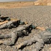 US Soldiers familiarize themselves with their weapons before missions.