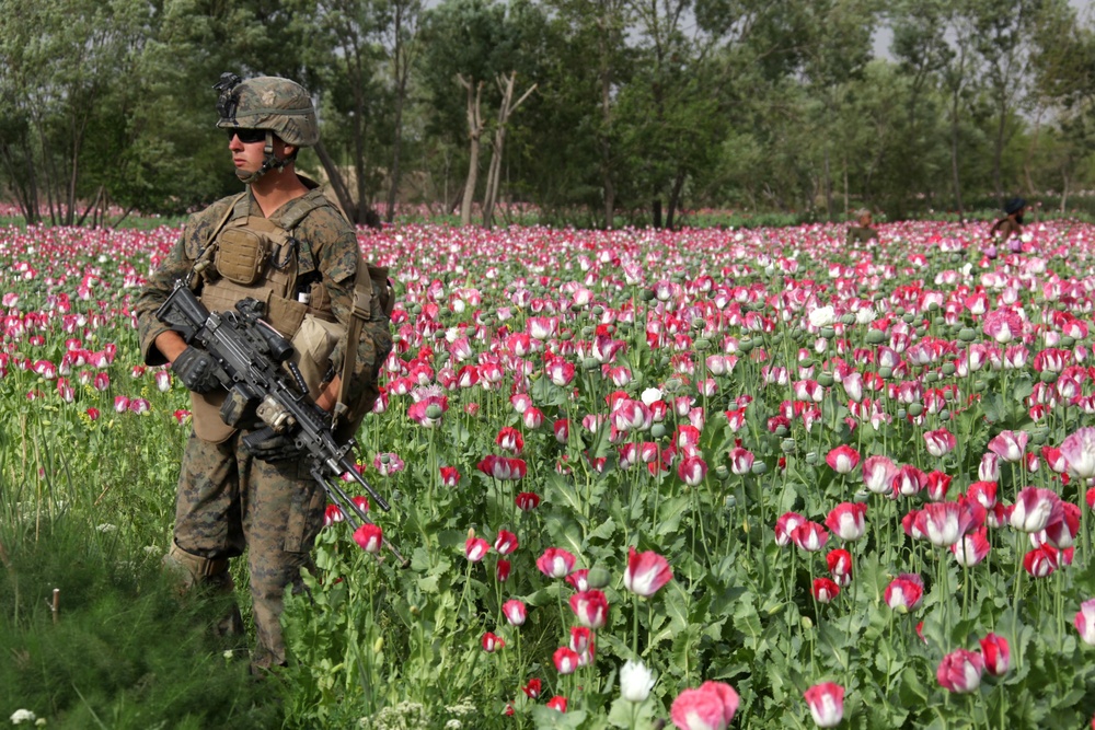 US Marines patrol west of Nahr-e Saraj canal
