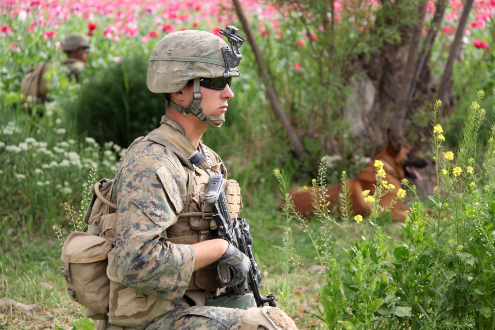 US Marines patrol west of Nahr-e Saraj canal