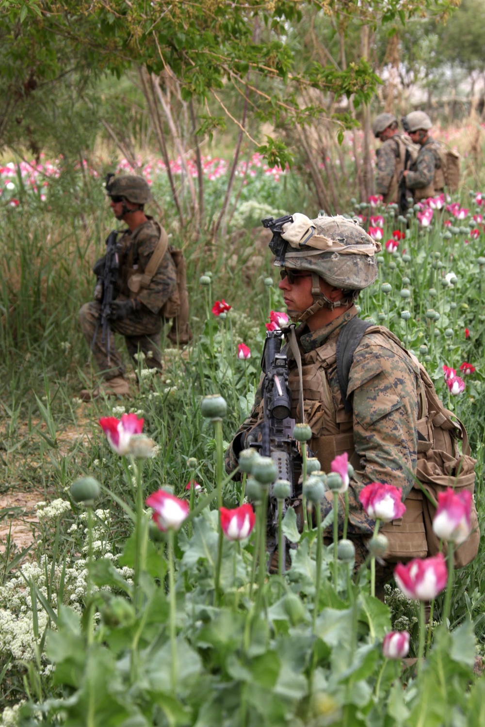 US Marines patrol west of Nahr-e Saraj canal