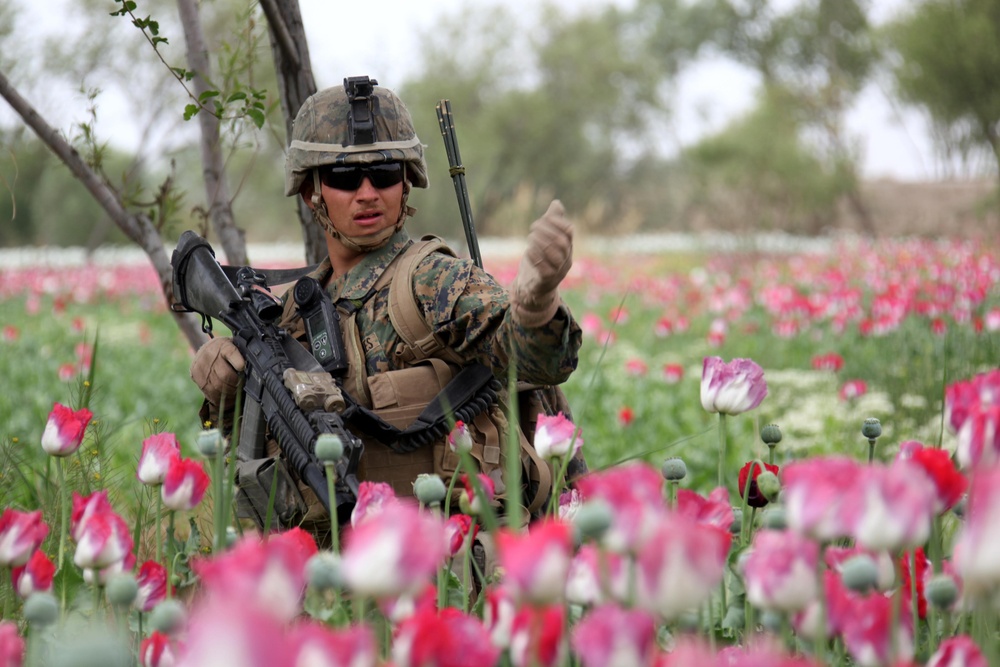US Marines patrol west of Nahr-e Saraj canal
