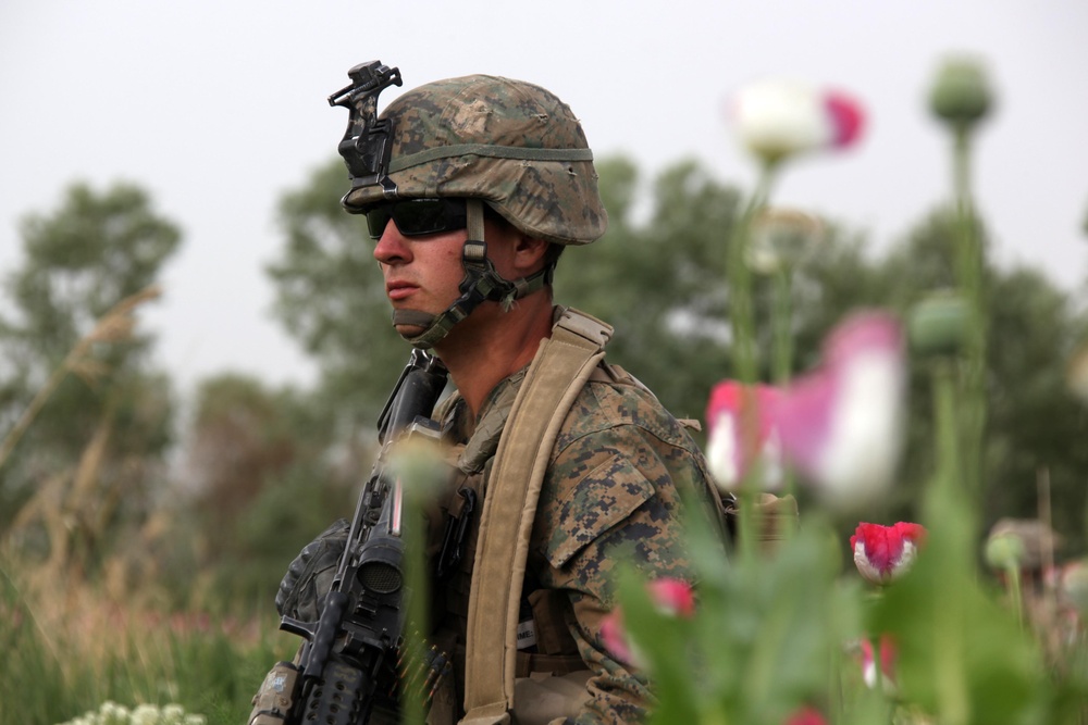 US Marines patrol west of Nahr-e Saraj canal