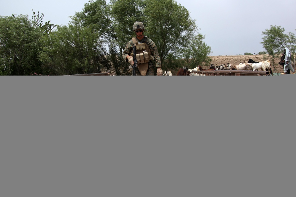 BLT 3/8 patrols Helmand's Green Zone