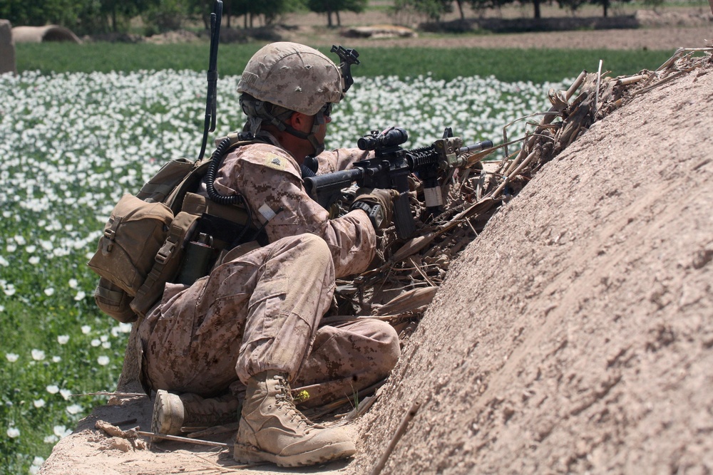 Bravo Company, 1/5 Sweeps for Safety