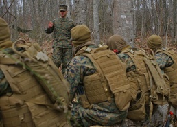 A squad leader's war