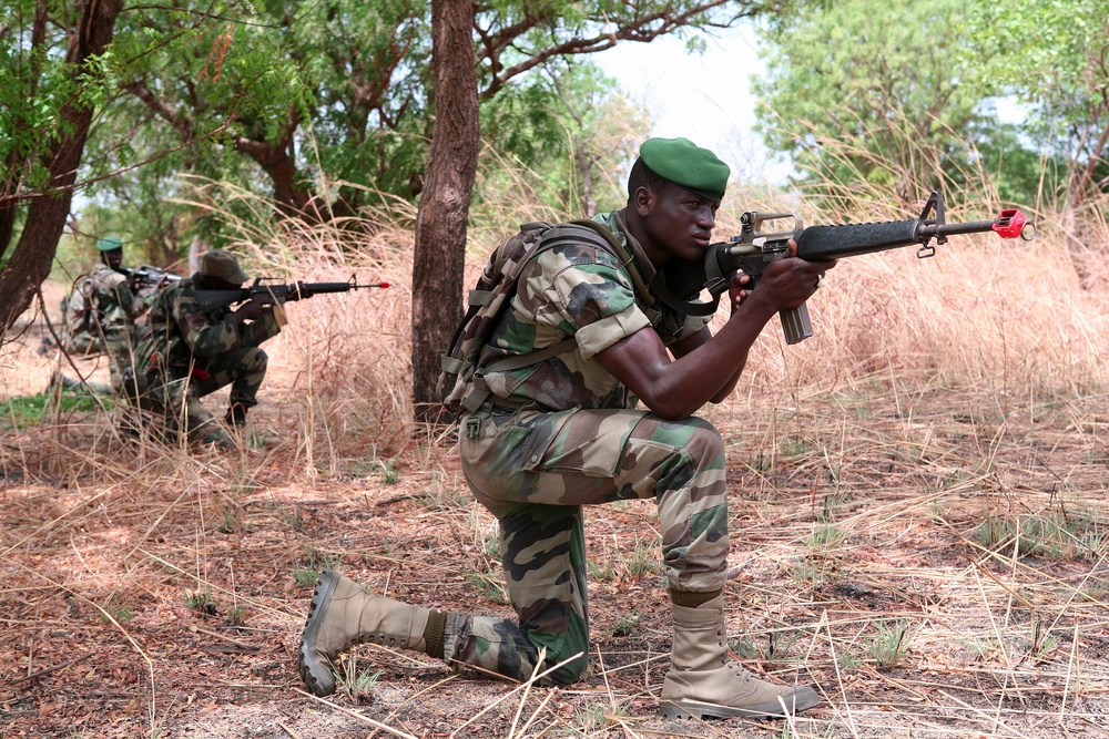 Marines, Senegalese commandos test immediate action skills during APS-11