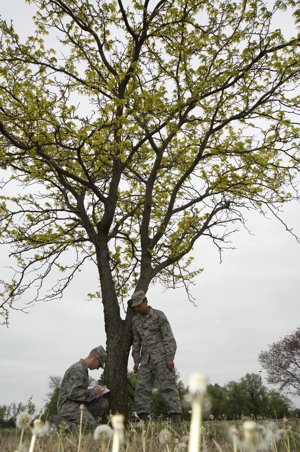 Energy efficiency efforts within DOD helping many customers, including AMC